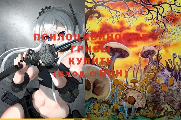сатива Абдулино