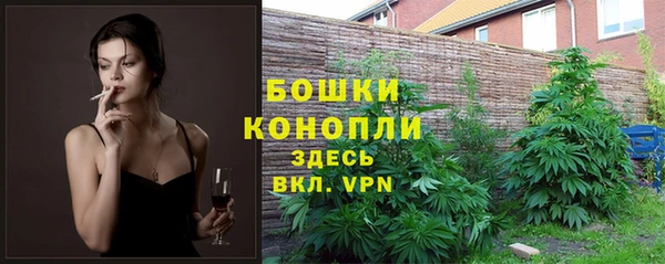 спиды Сосновка